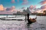 VENICE21 (11)